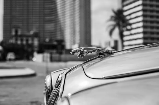 Casino Golden Reels Application Android/iOS